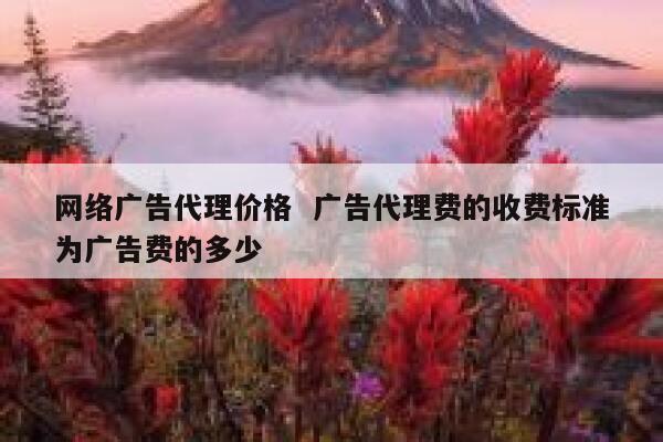 网络广告代理价格  广告代理费的收费标准为广告费的多少
