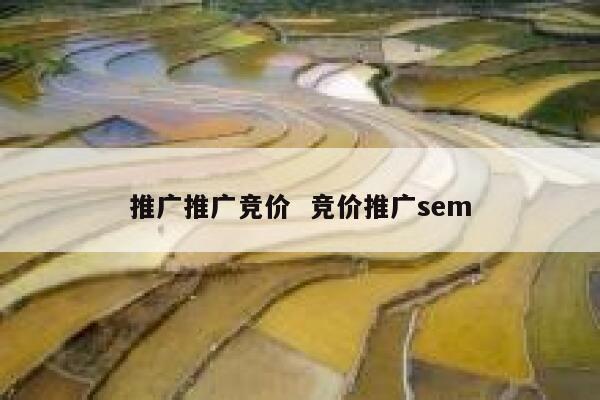 推广推广竞价  竞价推广sem