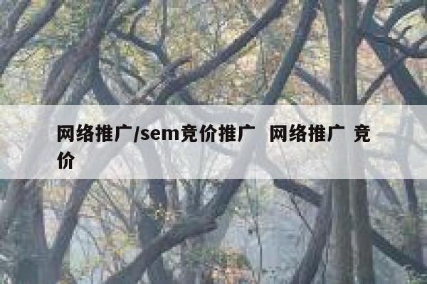网络推广/sem竞价推广  网络推广 竞价