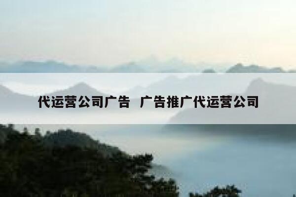 代运营公司广告  广告推广代运营公司