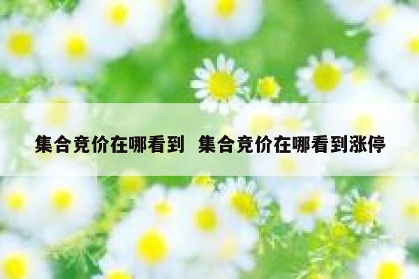 集合竞价在哪看到  集合竞价在哪看到涨停