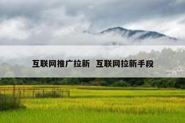 互联网推广拉新  互联网拉新手段