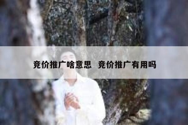 竞价推广啥意思  竞价推广有用吗