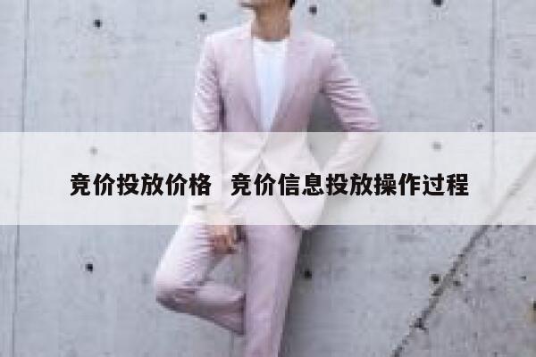 竞价投放价格  竞价信息投放操作过程