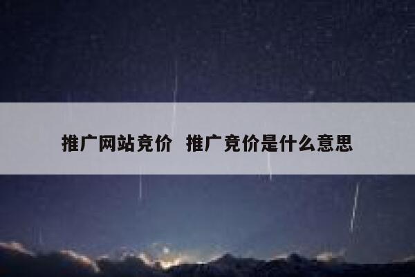推广网站竞价  推广竞价是什么意思