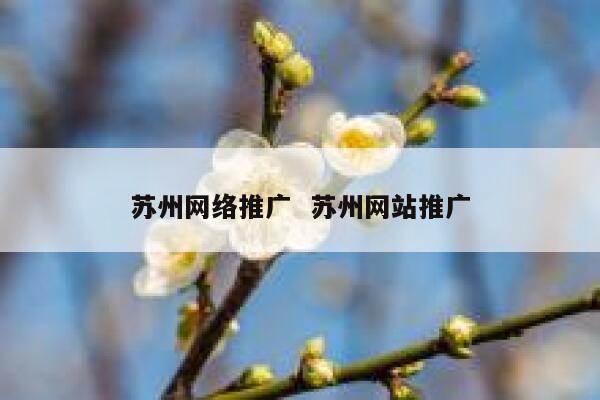 苏州网络推广  苏州网站推广 第1张
