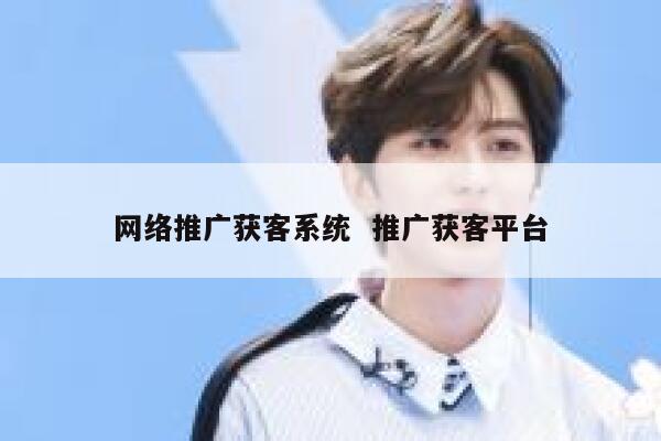 网络推广获客系统  推广获客平台
