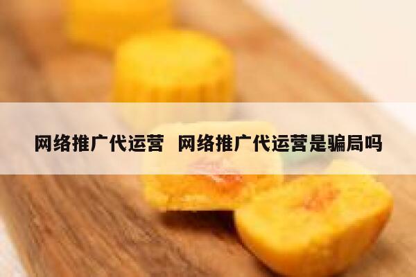 网络推广代运营  网络推广代运营是骗局吗