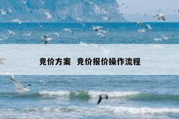 竞价方案  竞价报价操作流程