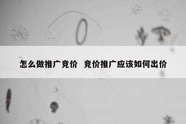 怎么做推广竞价  竞价推广应该如何出价