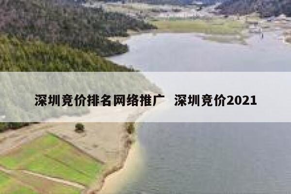 深圳竞价排名网络推广  深圳竞价2021