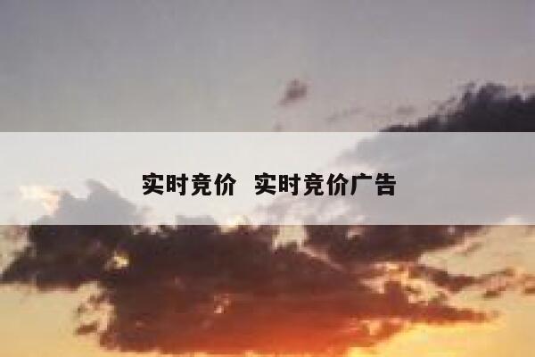 实时竞价  实时竞价广告
