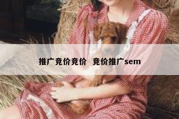 推广竞价竞价  竞价推广sem