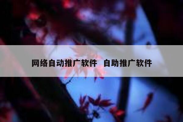 网络自动推广软件  自助推广软件