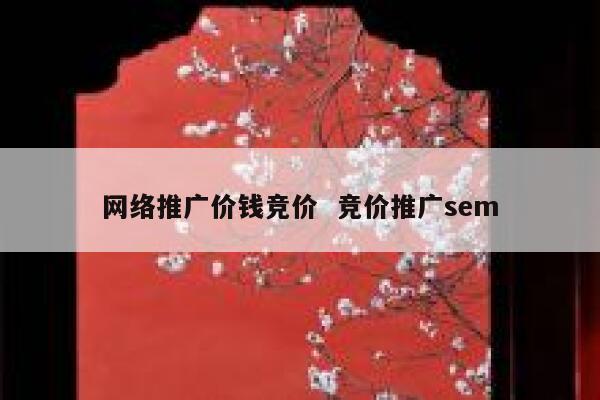 网络推广价钱竞价  竞价推广sem 第1张