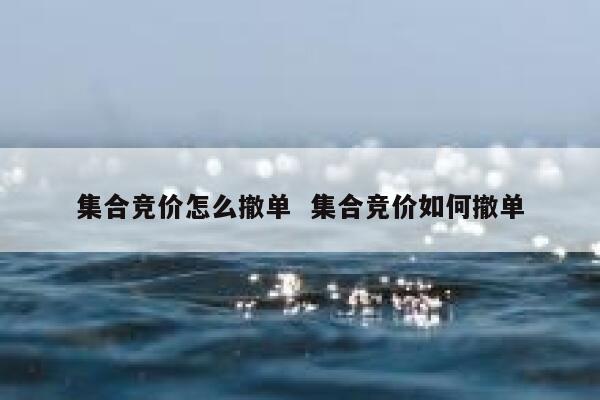 集合竞价怎么撤单  集合竞价如何撤单