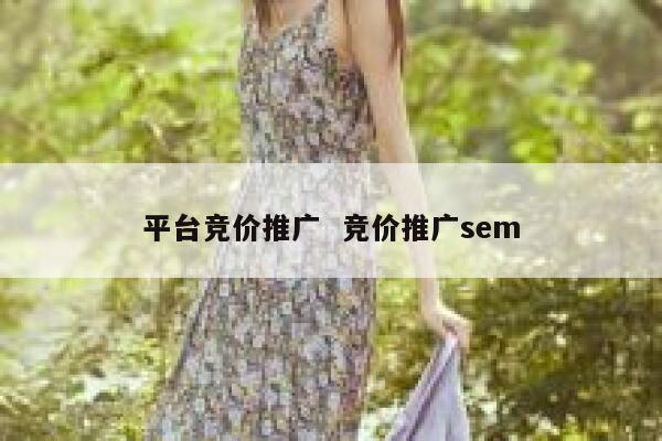 平台竞价推广  竞价推广sem