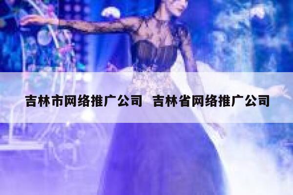 吉林市网络推广公司  吉林省网络推广公司