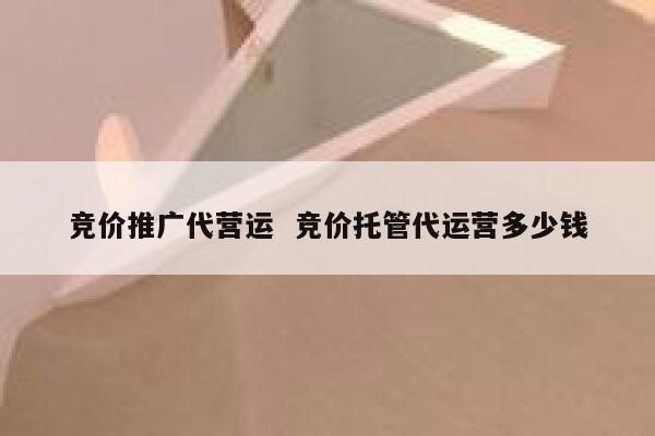 竞价推广代营运  竞价托管代运营多少钱