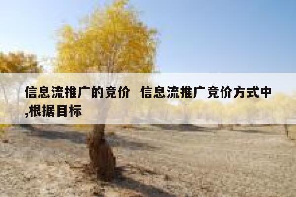 信息流推广的竞价  信息流推广竞价方式中,根据目标