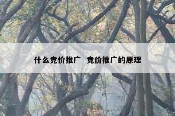 什么竞价推广  竞价推广的原理