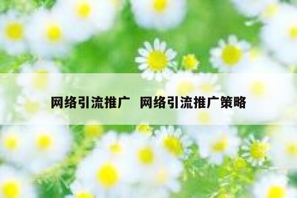 网络引流推广  网络引流推广策略