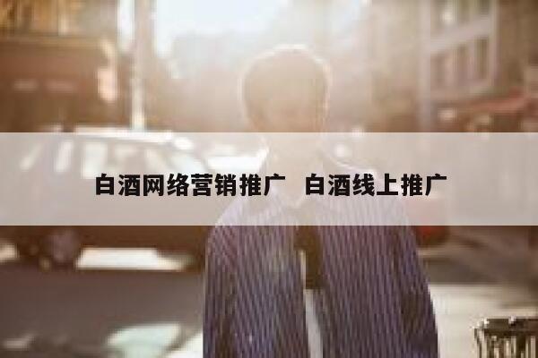 白酒网络营销推广  白酒线上推广