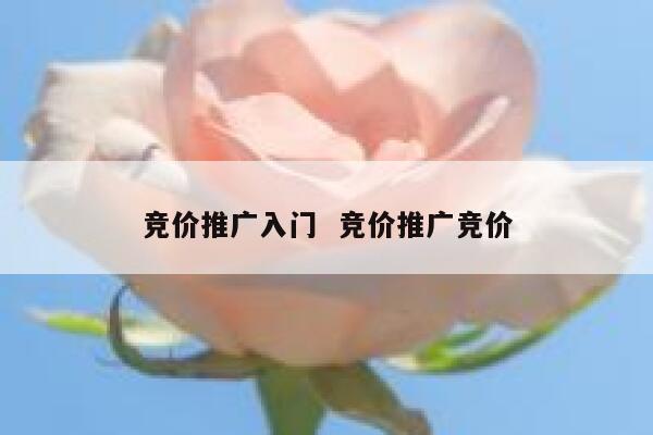 竞价推广入门  竞价推广竞价