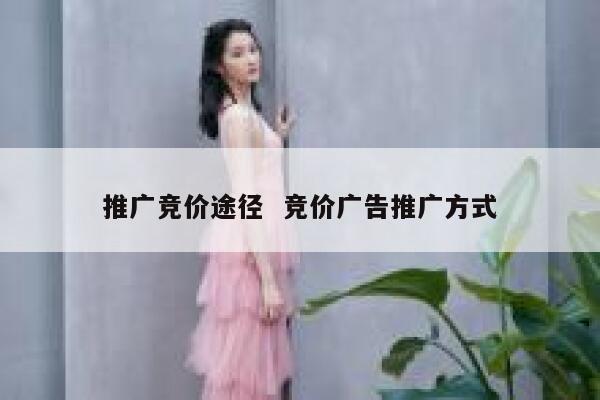 推广竞价途径  竞价广告推广方式