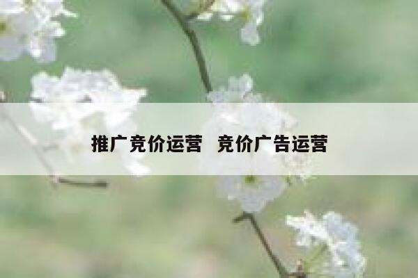 推广竞价运营  竞价广告运营