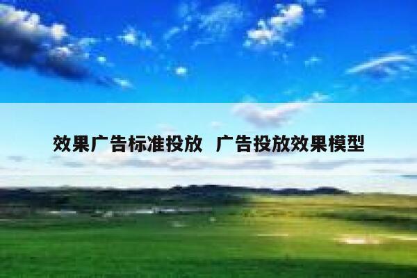 效果广告标准投放  广告投放效果模型