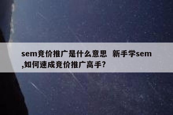 sem竞价推广是什么意思  新手学sem,如何速成竞价推广高手?
