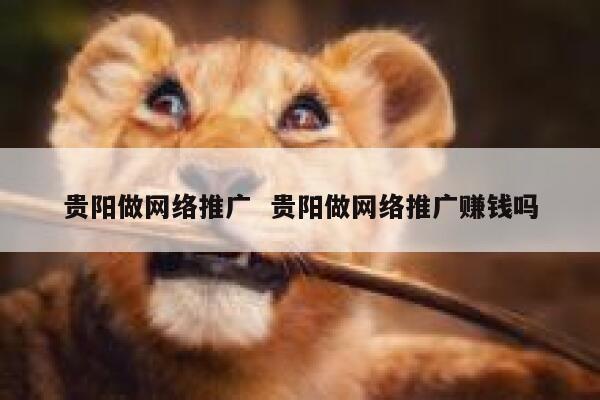 贵阳做网络推广  贵阳做网络推广赚钱吗
