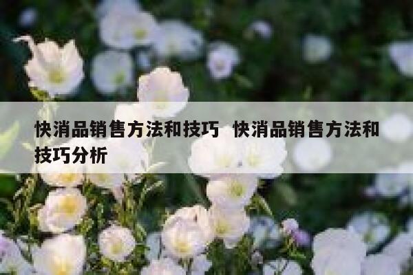 快消品销售方法和技巧  快消品销售方法和技巧分析