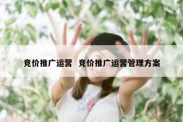 竞价推广运营  竞价推广运营管理方案