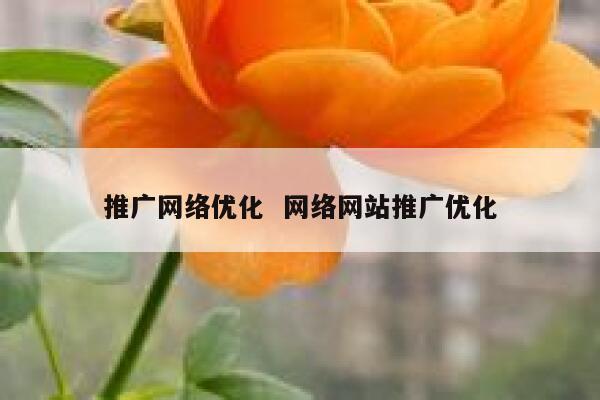 推广网络优化  网络网站推广优化 第1张