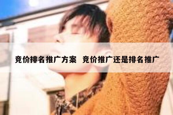 竞价排名推广方案  竞价推广还是排名推广 第1张