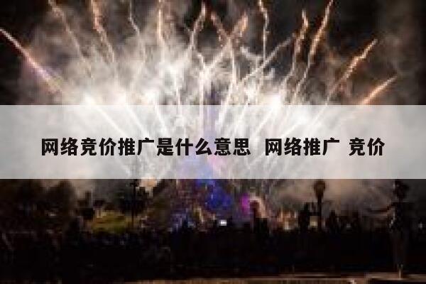网络竞价推广是什么意思  网络推广 竞价 第1张