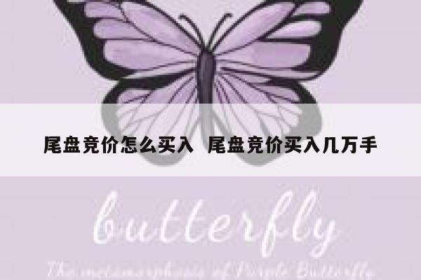 尾盘竞价怎么买入  尾盘竞价买入几万手 第1张 尾盘竞价怎么买入  尾盘竞价买入几万手 第1张