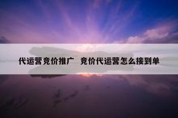 代运营竞价推广  竞价代运营怎么接到单 第1张