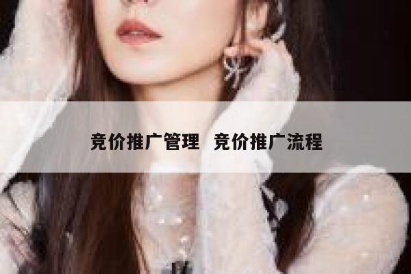 竞价推广管理  竞价推广流程