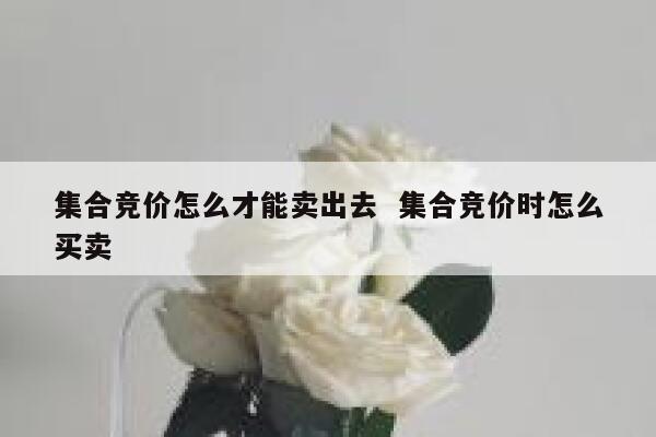 集合竞价怎么才能卖出去 集合竞价时怎么买卖 第1张 集合竞价怎么才能卖出去 集合竞价时怎么买卖 第1张