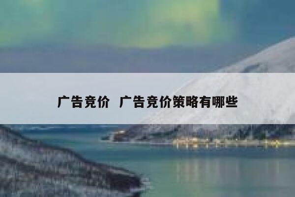 广告竞价  广告竞价策略有哪些 第1张