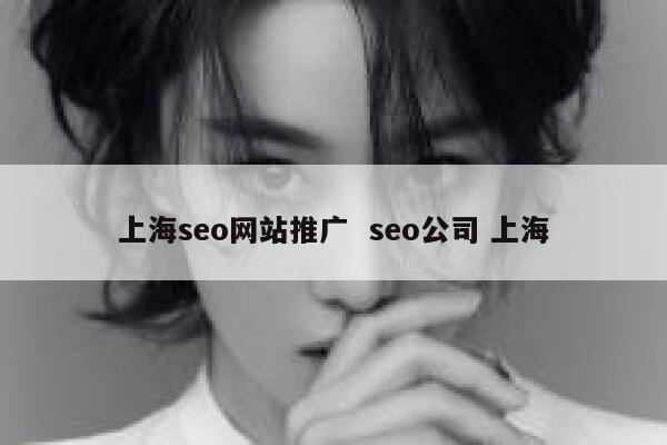 上海seo网站推广 seo公司 上海 第1张 上海seo网站推广 seo公司 上海 第1张