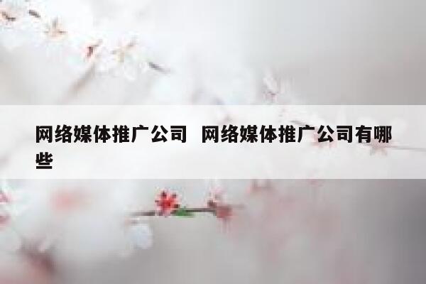 网络媒体推广公司  网络媒体推广公司有哪些 第1张 网络媒体推广公司  网络媒体推广公司有哪些 第1张