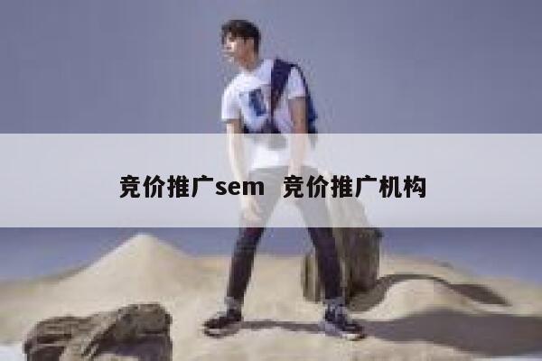 竞价推广sem  竞价推广机构