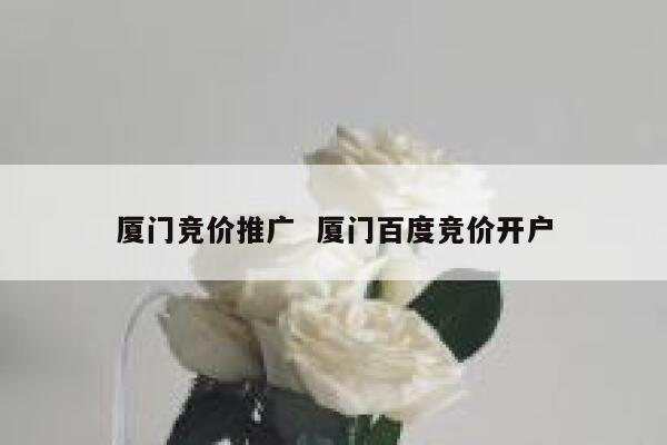 厦门竞价推广  厦门百度竞价开户