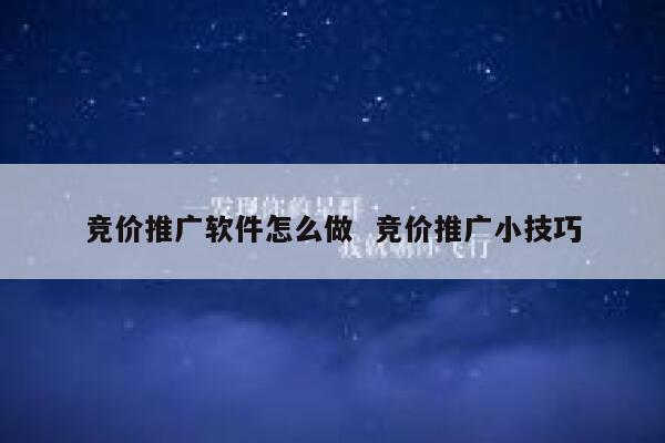 竞价推广软件怎么做  竞价推广小技巧