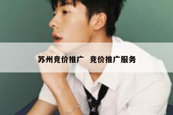 苏州竞价推广  竞价推广服务