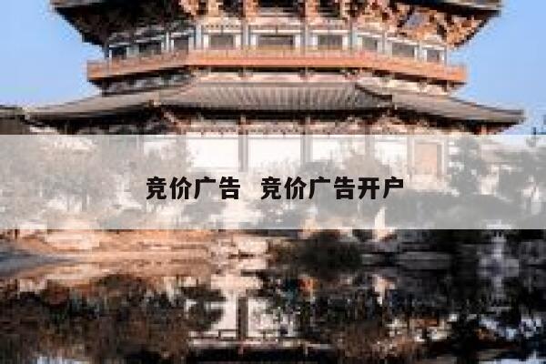 竞价广告  竞价广告开户 第1张